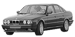 BMW E34 P1943 Fault Code